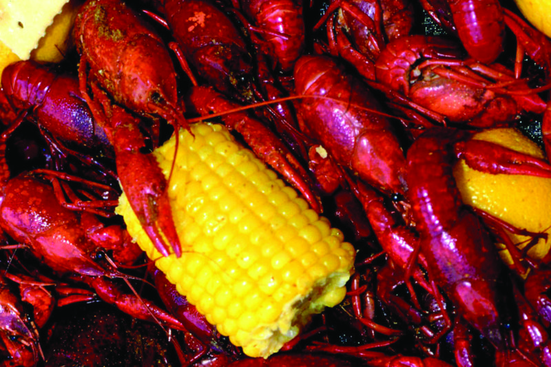 boiled-crawfish.jpg