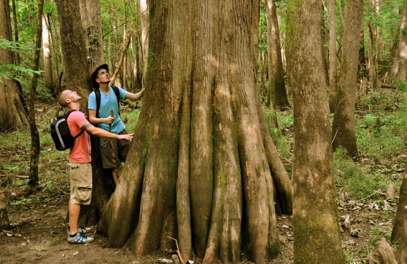 Congaree National park