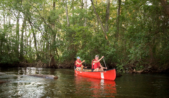 Edisto River Canoe Trail