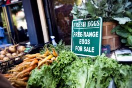 Make time for Market Days on Broadway, a 200+ vendor fair that happens every Saturday from 9 a.m.-noon and features fresh fruit, veggies and flowers, organic eggs, local honey, homemade goodies, arts, crafts, live entertainment and lots more! | Credit: Columbus, GA Convention and Visitors Bureau