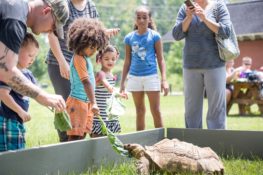 Nestled in a bend of the Chattahoochee River in a hardwood wetland, Oxbow Meadows is a place where nature can be itself. Two walking trails wind between ponds taking hikers into the realm of native flora and fauna. | Credit: Columbus, GA Convention and Visitors Bureau