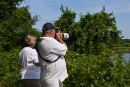 More than 300 species of birds have been spotted at the 18 sites along the Colonial Coast Birding Trail. | Credit: Kingsland Convention & Visitors Bureau