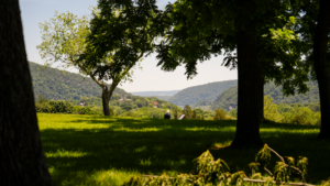 Bolivar Height | Photo Credit: Josh Lykins