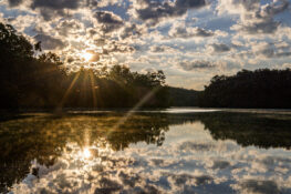 Don Carter State Park is an ideal location to catch the sunrise. | Photo Credit: Lake Lanier CVB