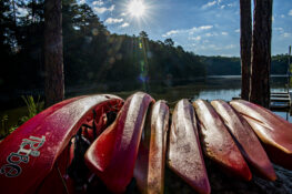 Don Cater State Park offers eight miles of paddling trails perfect for kayaking, paddleboarding and aqua cycles. | Photo Credit: Lake Lanier CVB