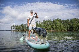 Paddleboarders love taking in the calm waters and serene beauty at Lake Lanier. | Photo Credit: Lake Lanier CVB
